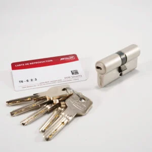 Cylindre de sécurité DOM Metalux T6 double entrée 5 clés